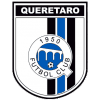 Visitante