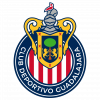 Visitante